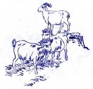 中國青花瓷傳統(tǒng)圖案寓意全集