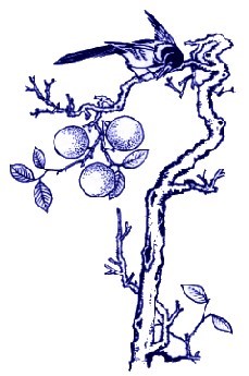 中國青花瓷傳統(tǒng)圖案寓意全集