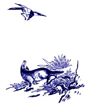 中國青花瓷傳統(tǒng)圖案寓意全集