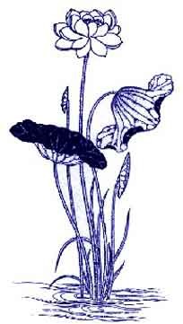 中國青花瓷傳統(tǒng)圖案寓意全集