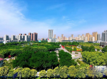 焦作城市建設(shè)將有大動(dòng)作！打造宜居、韌性、智慧、綠色城市!